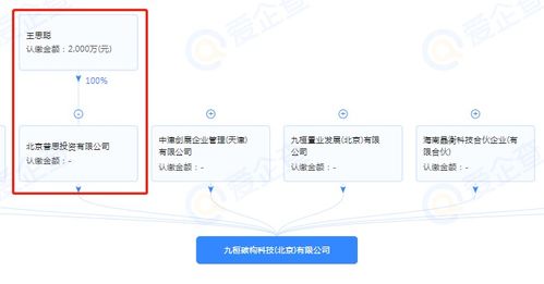 王思聰跨界布局，投資成立半導(dǎo)體制造公司引領(lǐng)技術(shù)新浪潮