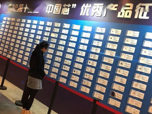廈門(mén)軟件園企業(yè)榮獲“中國(guó)芯”優(yōu)秀產(chǎn)品技術(shù)推廣獎(jiǎng)，彰顯區(qū)域科技創(chuàng)新實(shí)力